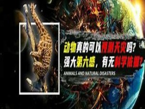 动物如何预知自然灾害？