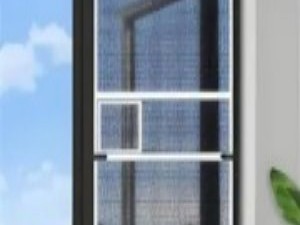 报纸保鲜蔬菜的湿度调控机理