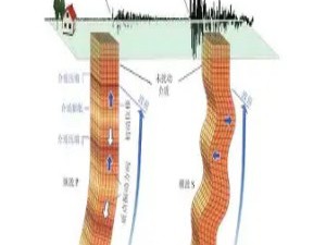 地震预警：与地震波“赛跑”的生命警报