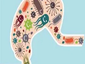 肠道菌群：你的“第二大脑”与健康指挥官