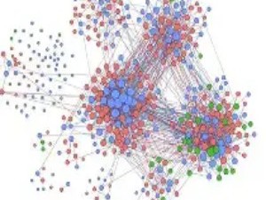 真菌网络：森林地下的“万维网”与智能