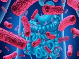 肠道微生物如何影响情绪与决策