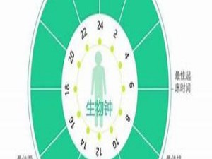 生物钟如何控制我们的作息？