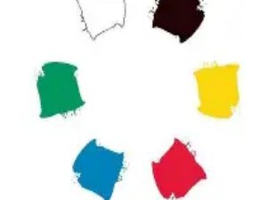 人类的色觉：三原色背后的生物机制