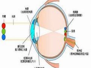 为什么镜子里的像是左右颠倒，而不是上下颠倒？