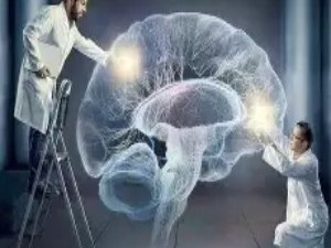 记忆的“篡改者”：大脑为何相信虚假记忆？