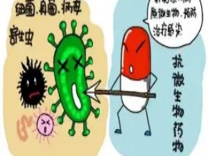 抗生素的发现与耐药性危机