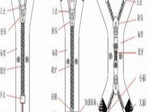 拉链为什么一拉就合上？