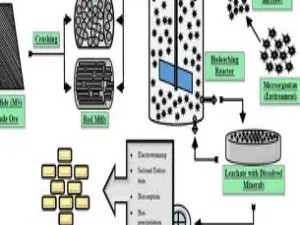 微生物采矿：用细菌“吃”出金属的未来
