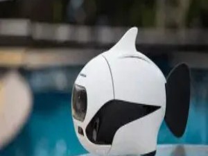 仿生学：向自然寻求灵感的科技革命