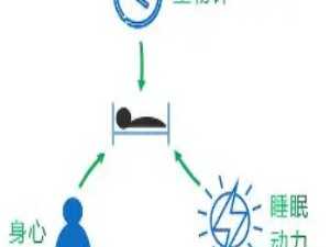 睡眠的功能：不仅是休息，更是大脑的“深度保洁”