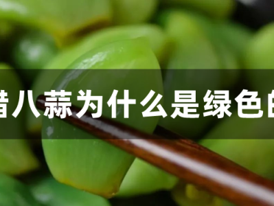 腊八蒜为什么是绿色的_腊八蒜怎么腌制又脆又绿?