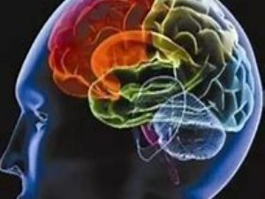 为什么人脑会产生似曾相识感？