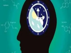 生物的“内置时钟”：昼夜节律的分子齿轮
